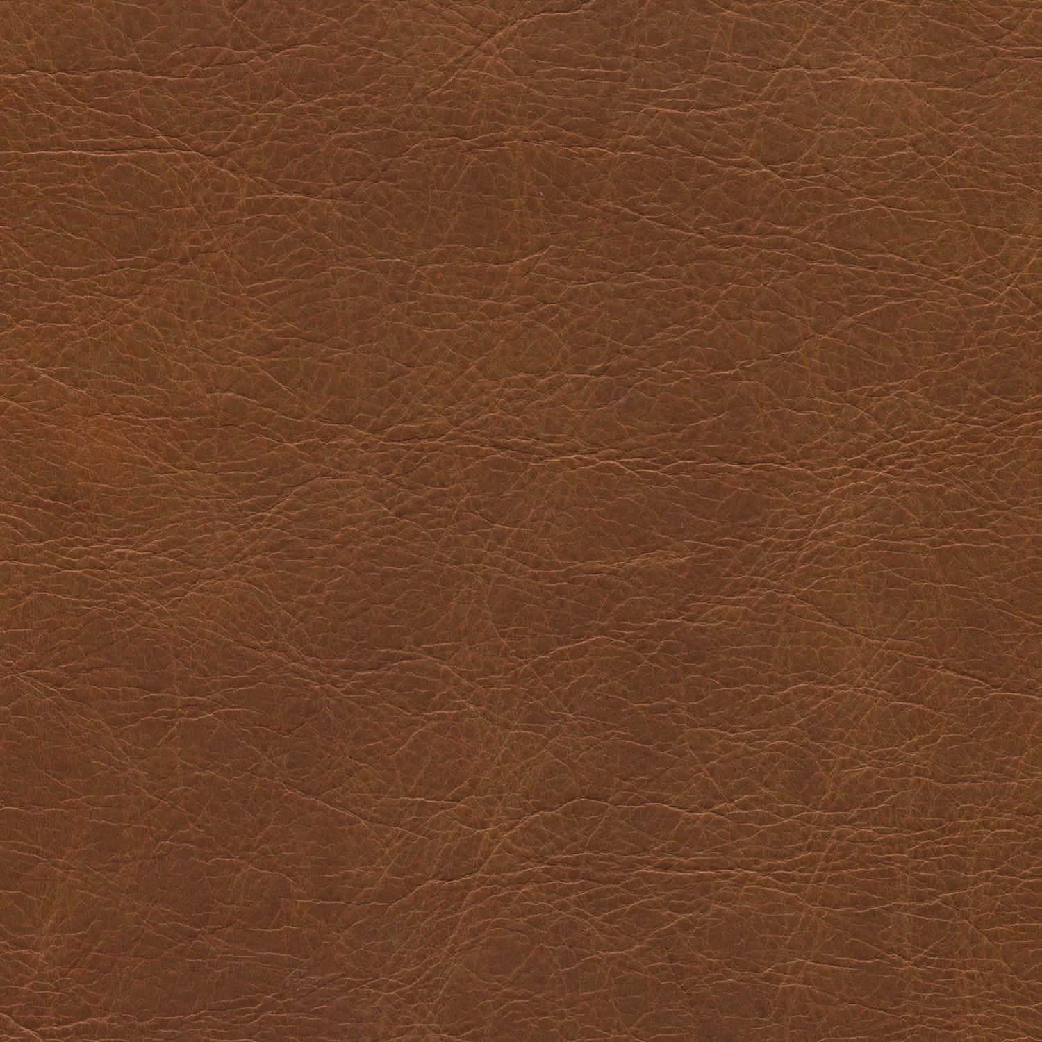 Luxurious Brown Leather Texture