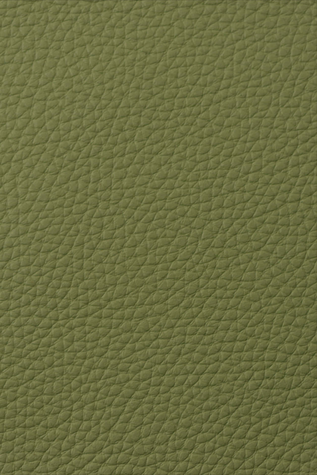 Imagende Textura En Color Verde De Cuero.