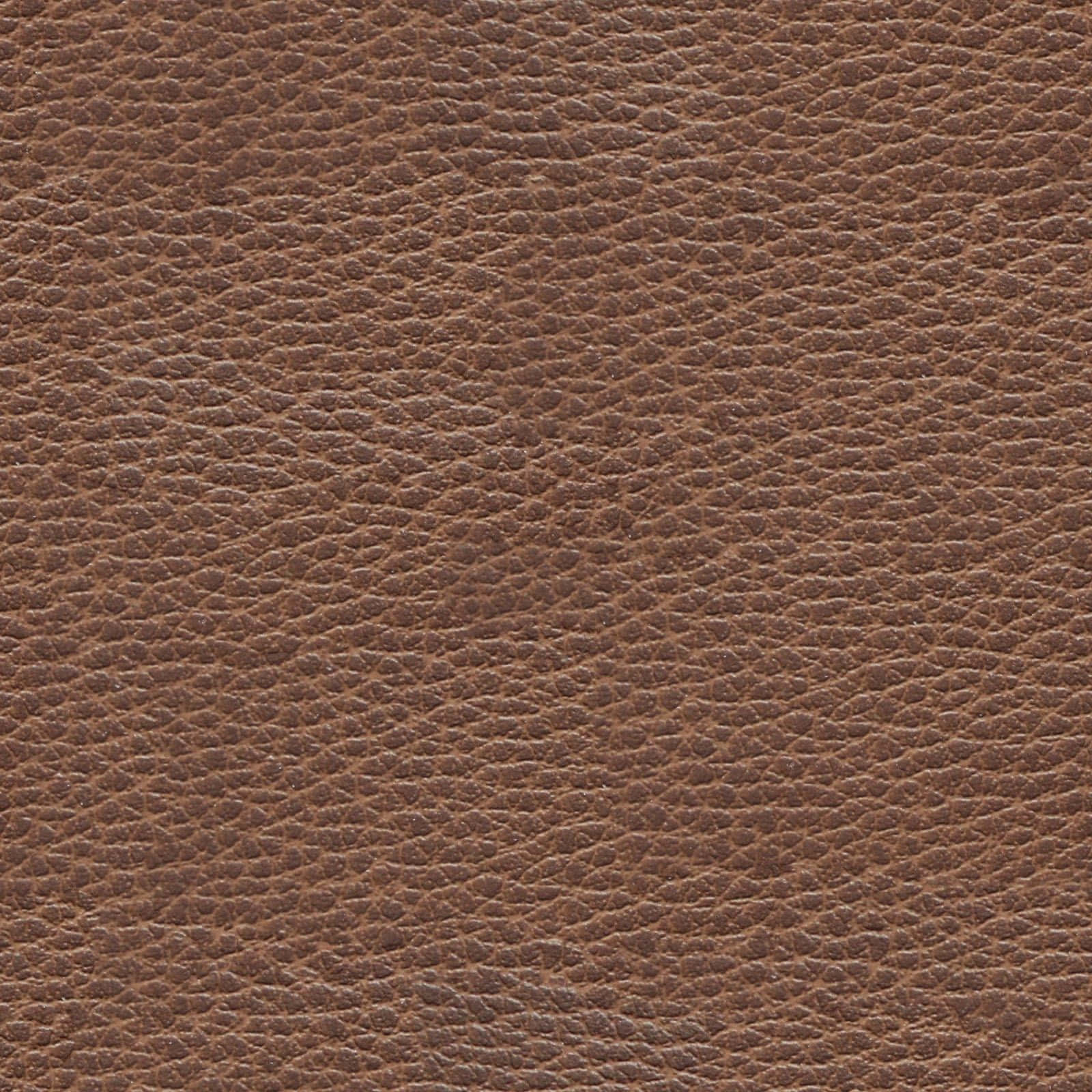 Leather Texture Dark Brown Picture