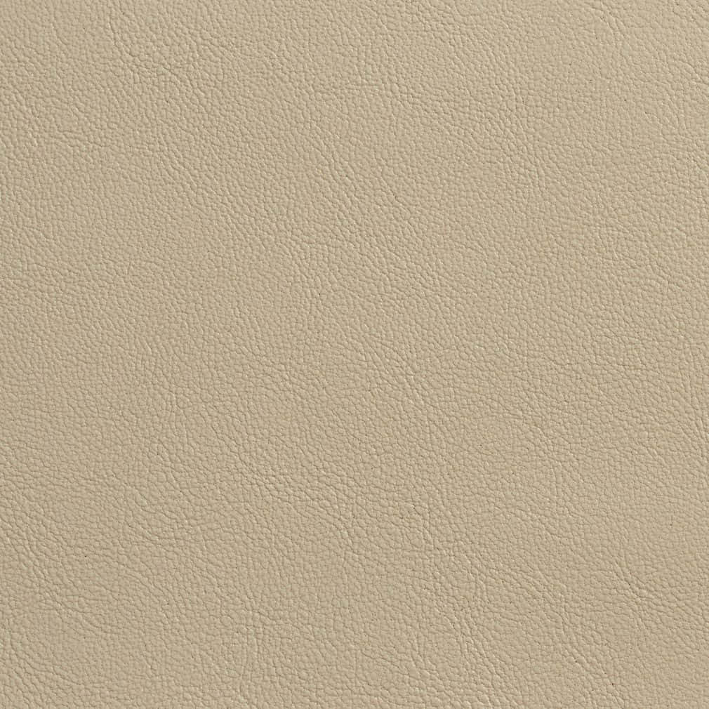Cream Colored Leather Texture Picture