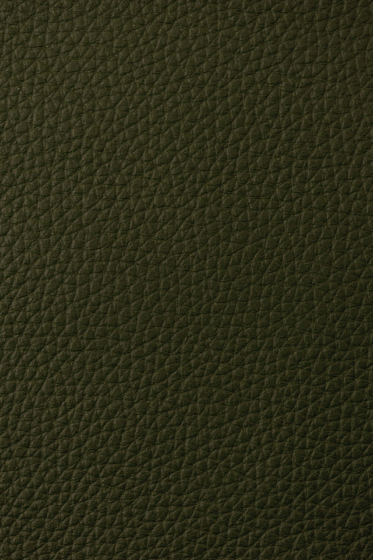 Dark Green Leather Texture Picture
