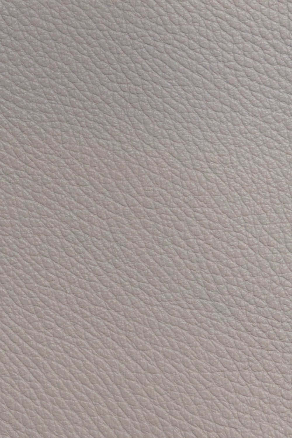 Natural Light Grey Leather Texture Picture