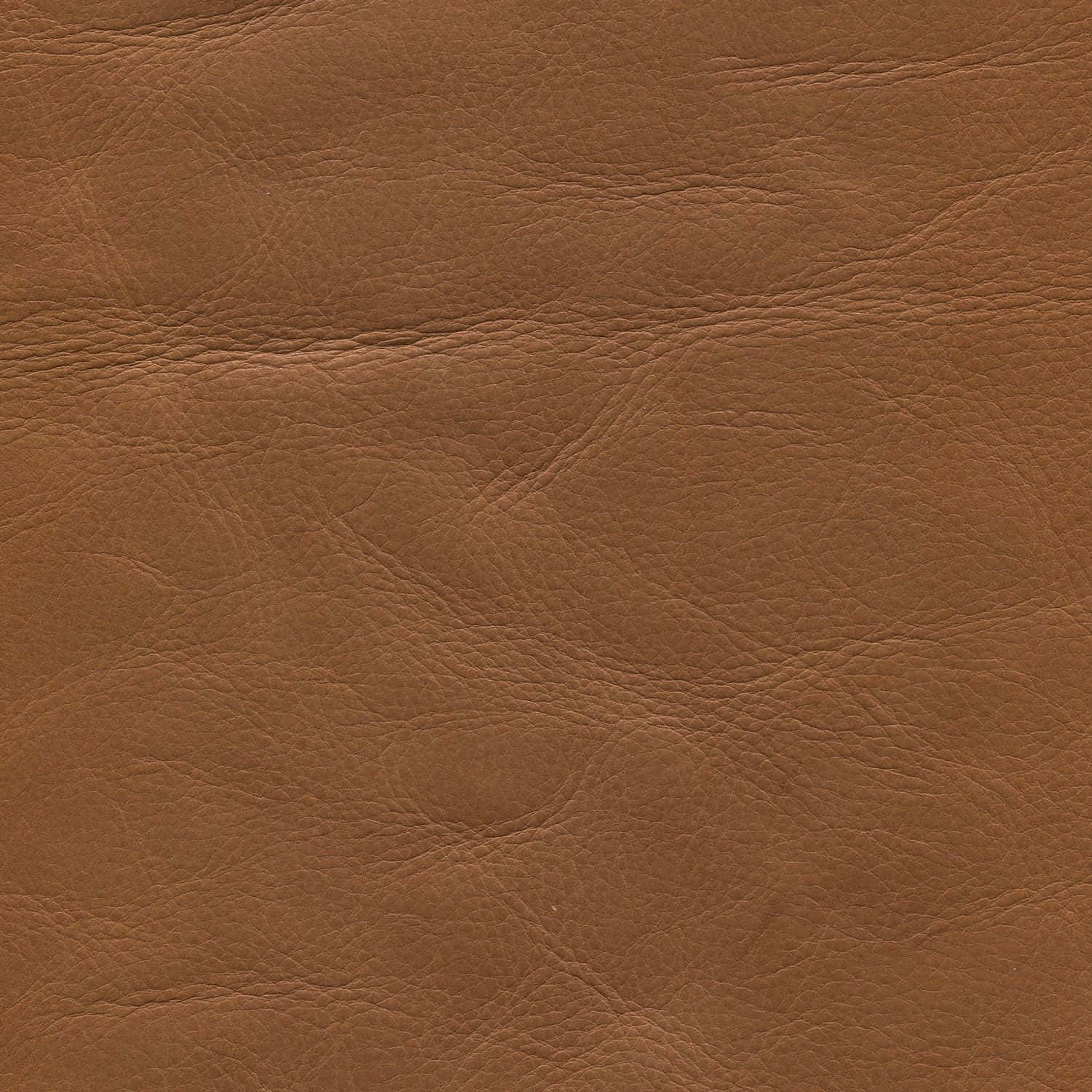 Animal Skin Leather Texture Picture