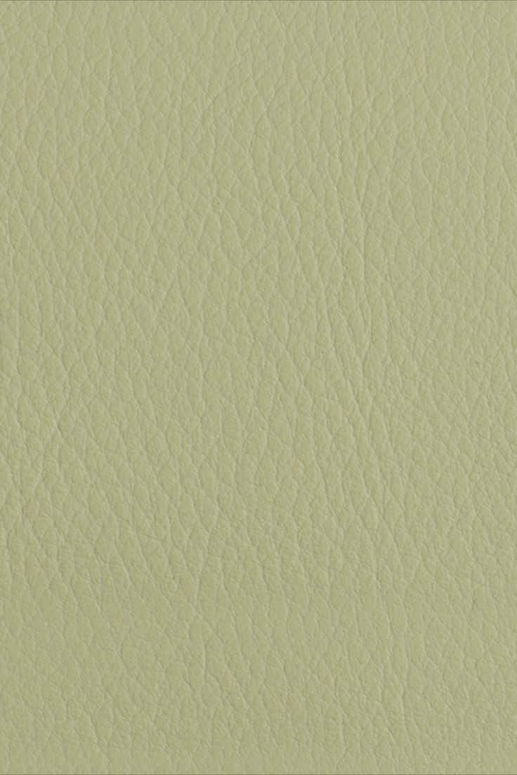 Light Green Leather Texture Picture