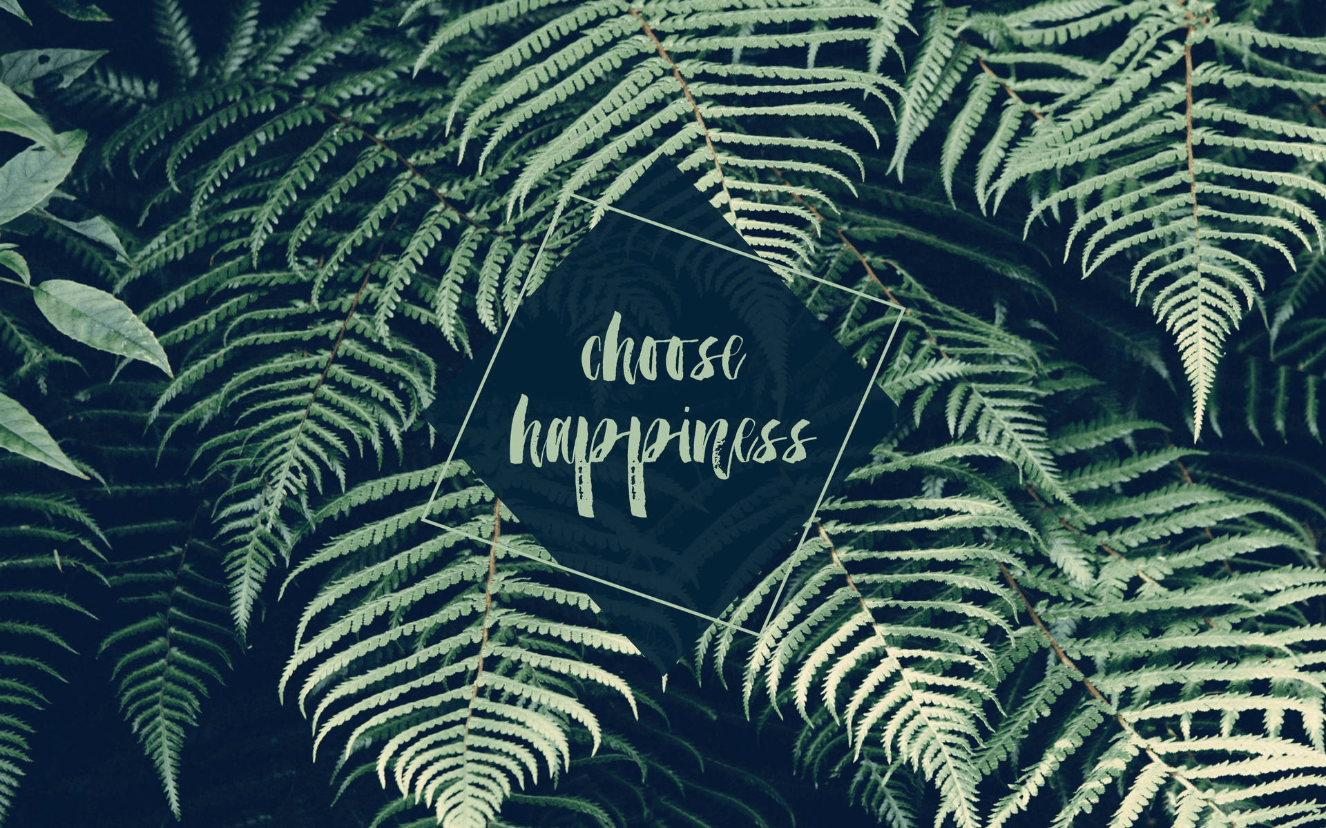 Leaves and Happiness Tumblr Quotes Wallpaper