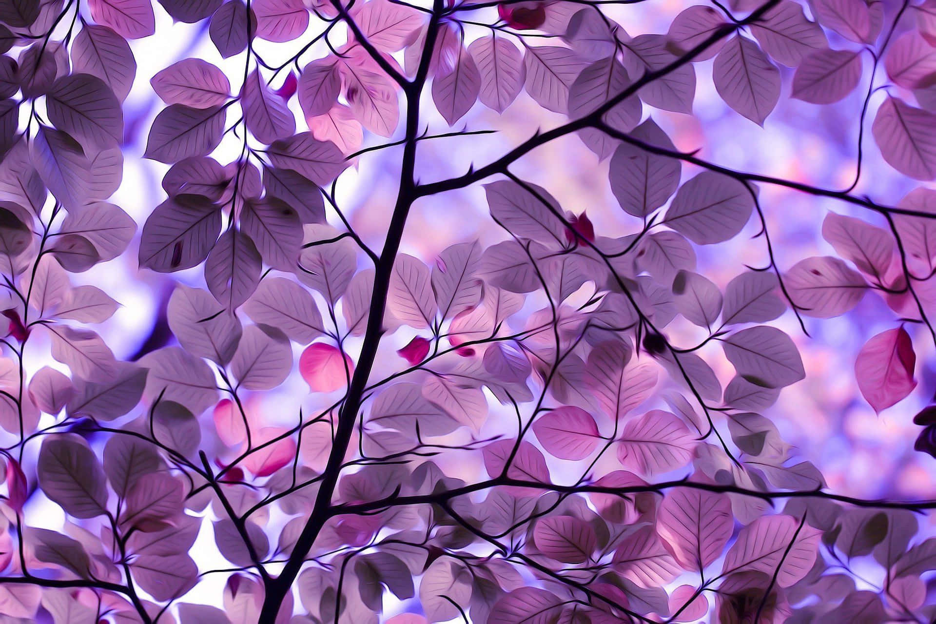 Purple Leaves On A Tree Branch