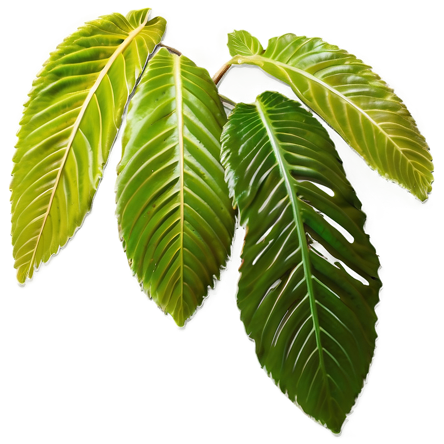 Leaves Descending Png Rbe PNG