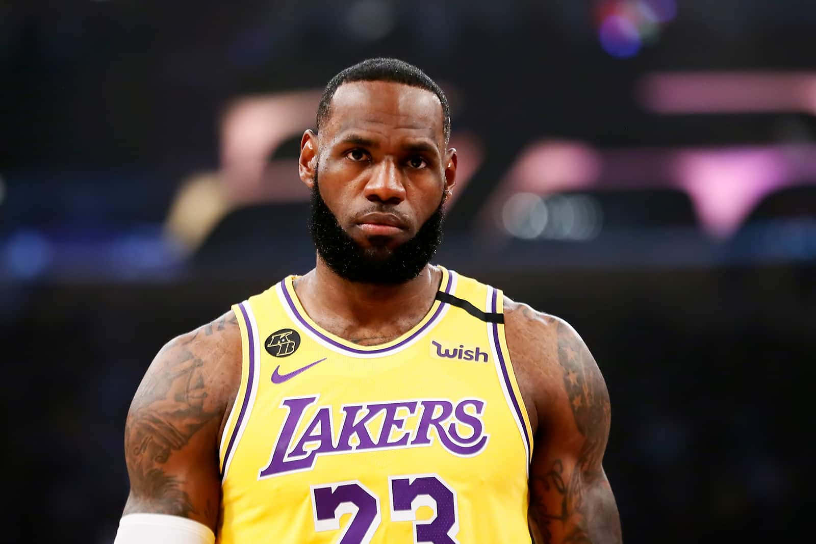 MVP LeBron James celebrates in the stands after his Lakers won the 2020 NBA Finals