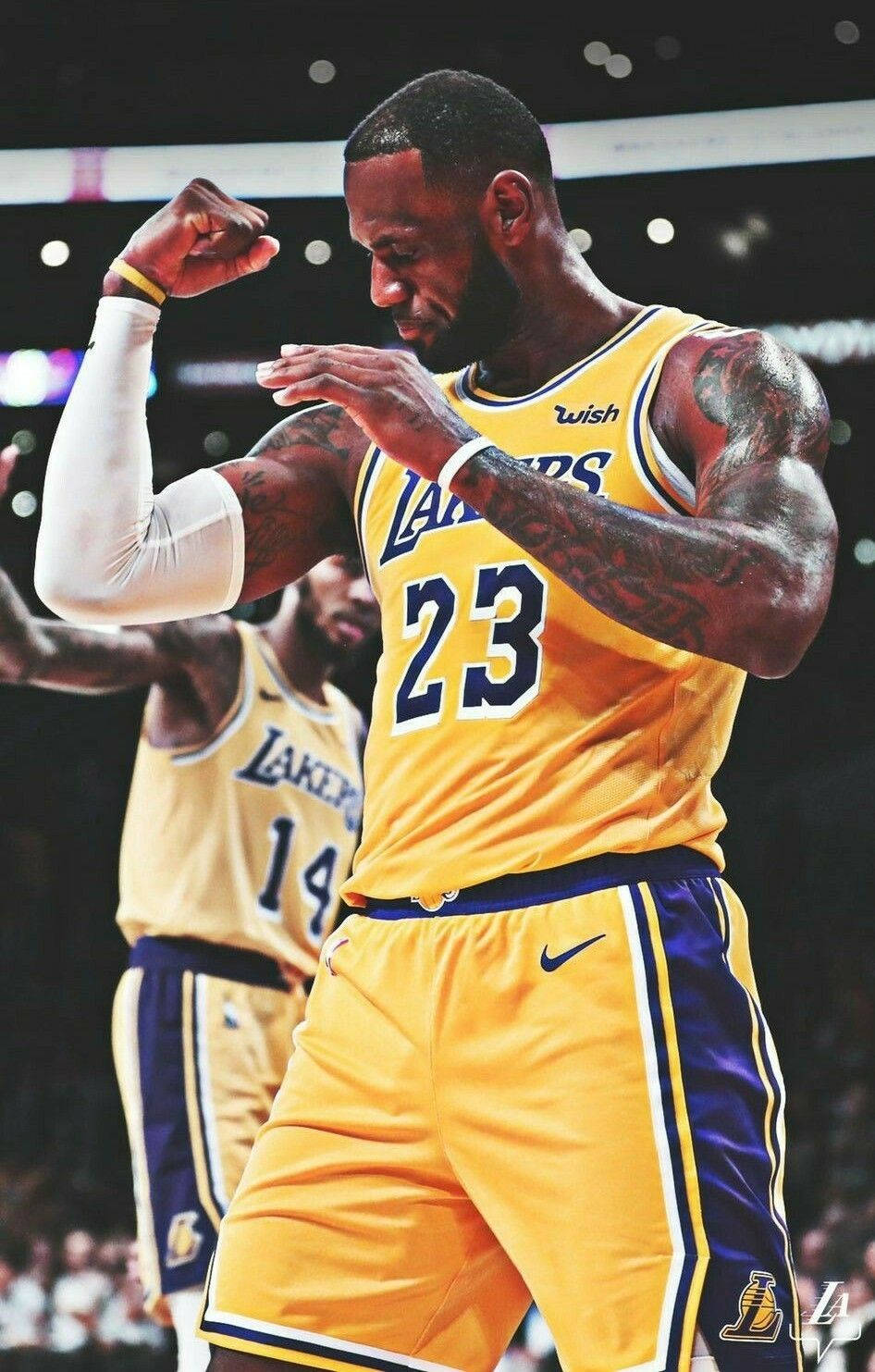 Download Lebron James The King Lakers Wallpaper 