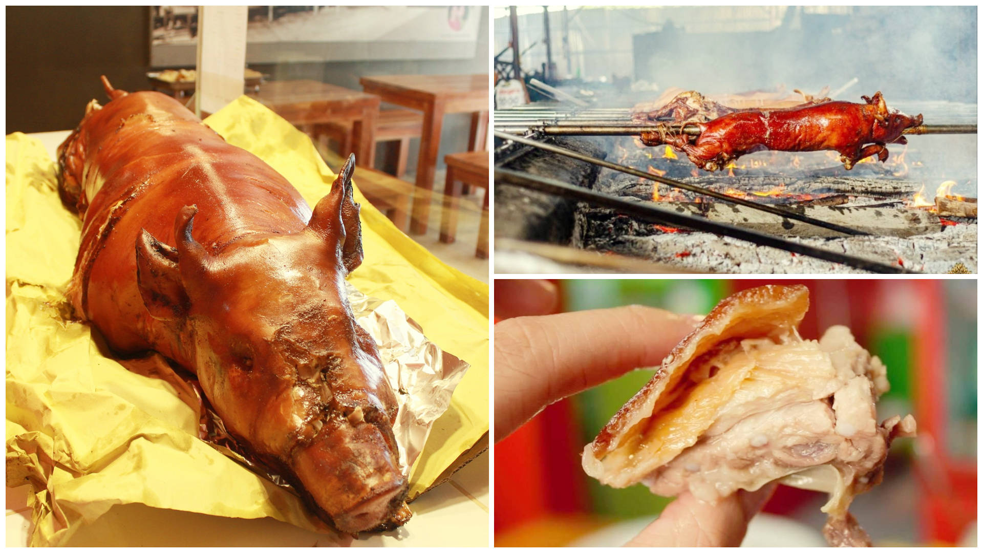 Lechon In Collage Wallpaper