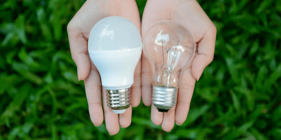 Two Hands Holding Two Light Bulbs
