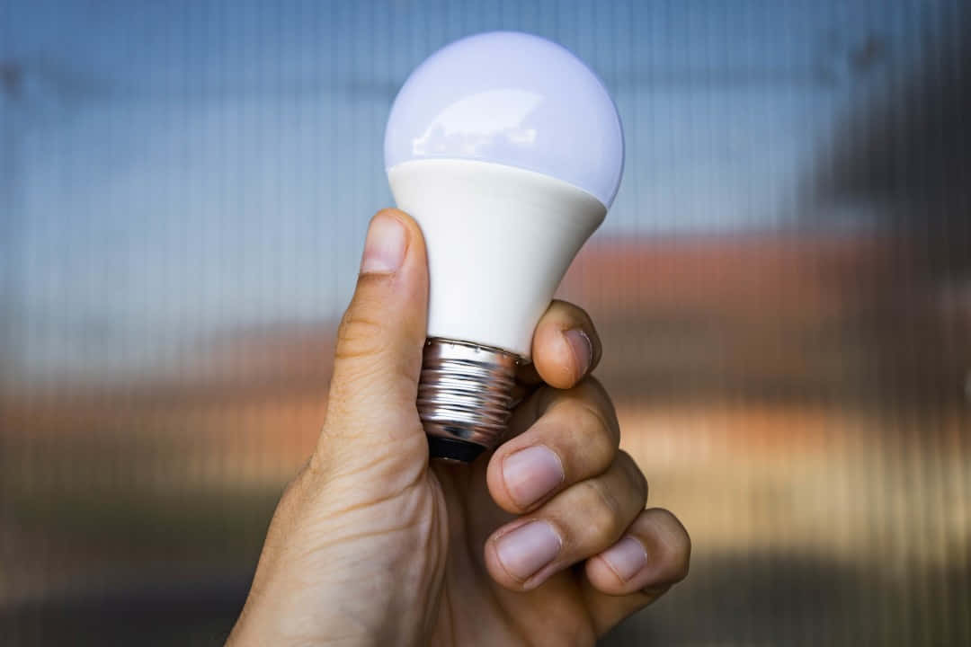 A Person Holding A Light Bulb With Blurred Background