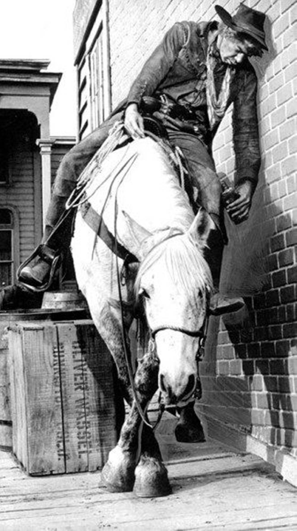 Lee Marvin, som rider på en hest mod et måneskins nattehimmel Wallpaper