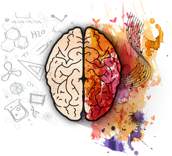 Left Brain Right Brain Creativity PNG