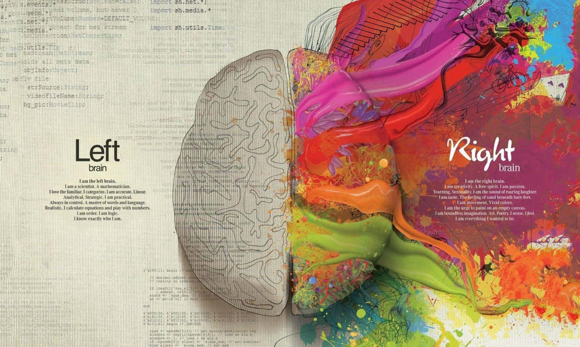 Left Right Brain Dichotomy Artistic Representation Wallpaper