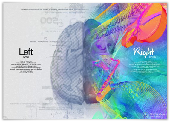 Left Right Brain Functions Illustration PNG