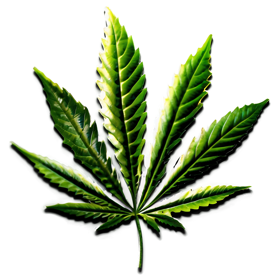 Download Legalize Cannabis Leaf Png Huq | Wallpapers.com