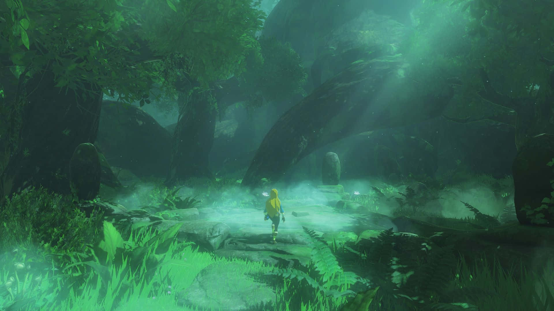 Linkpå En Rejse Gennem Verdenen Af ​​the Legend Of Zelda