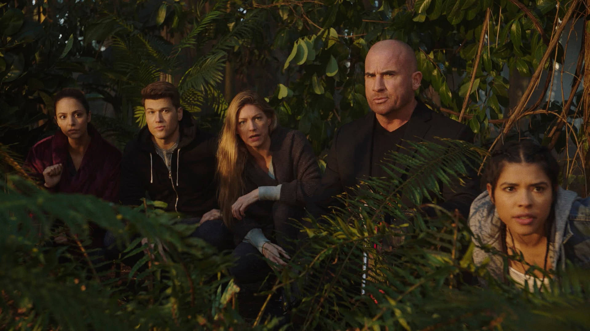 Legends Of Tomorrow Behind The Bush Background