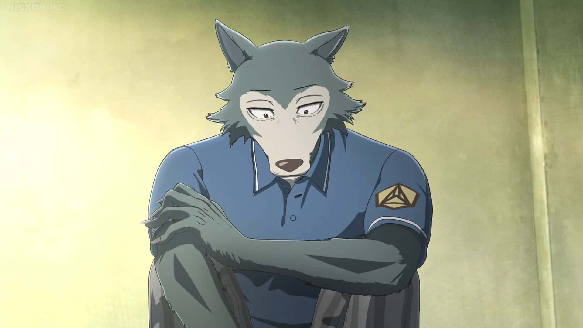 A close-up of Legosi, the wolf from Beastars. Wallpaper
