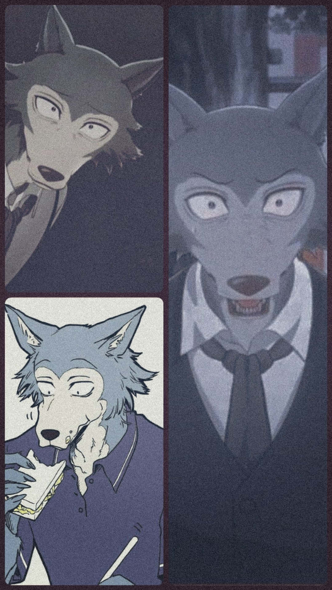Wolf - Wolf - Wolf - Wolf - Wolf - Wolf - Wolf - Wolf - Wallpaper