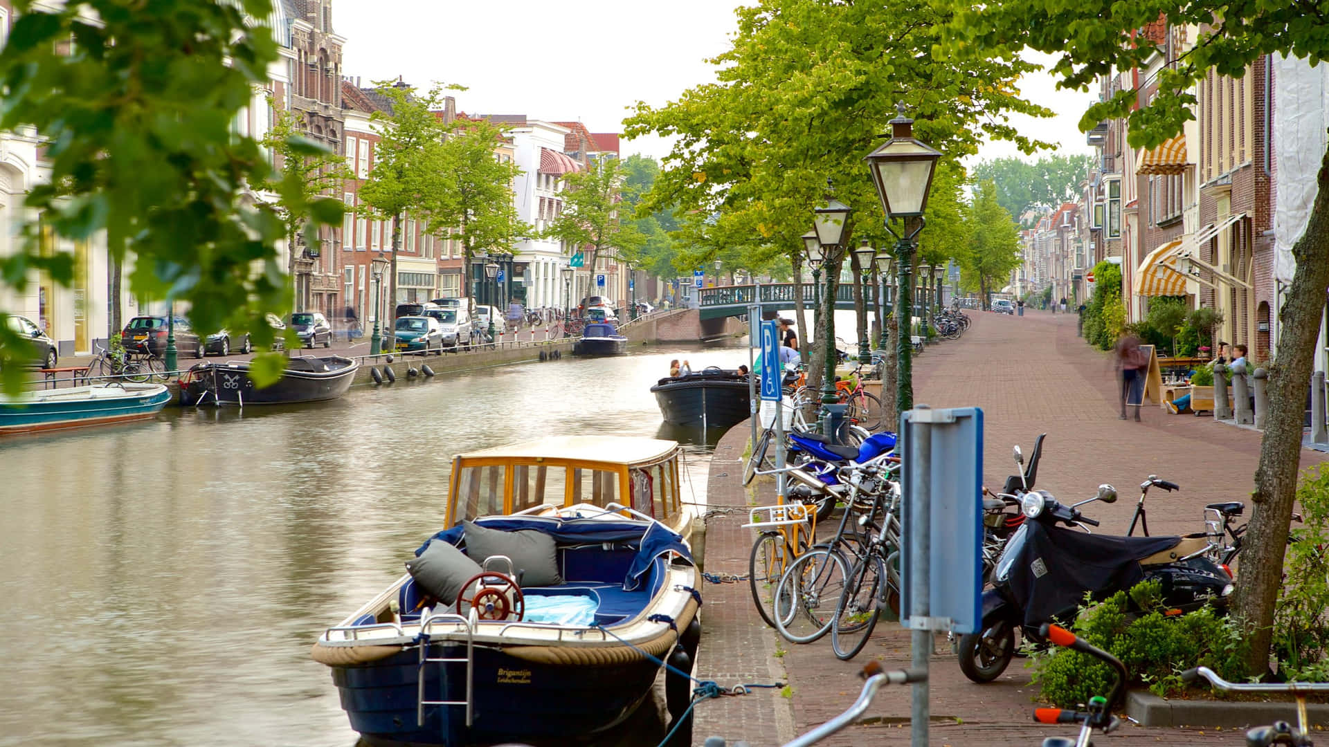 Leiden Canal View Summer Day Wallpaper