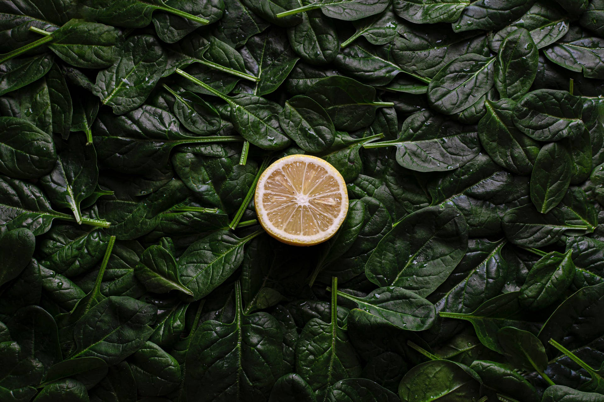 Lemon and Spinach Wallpaper