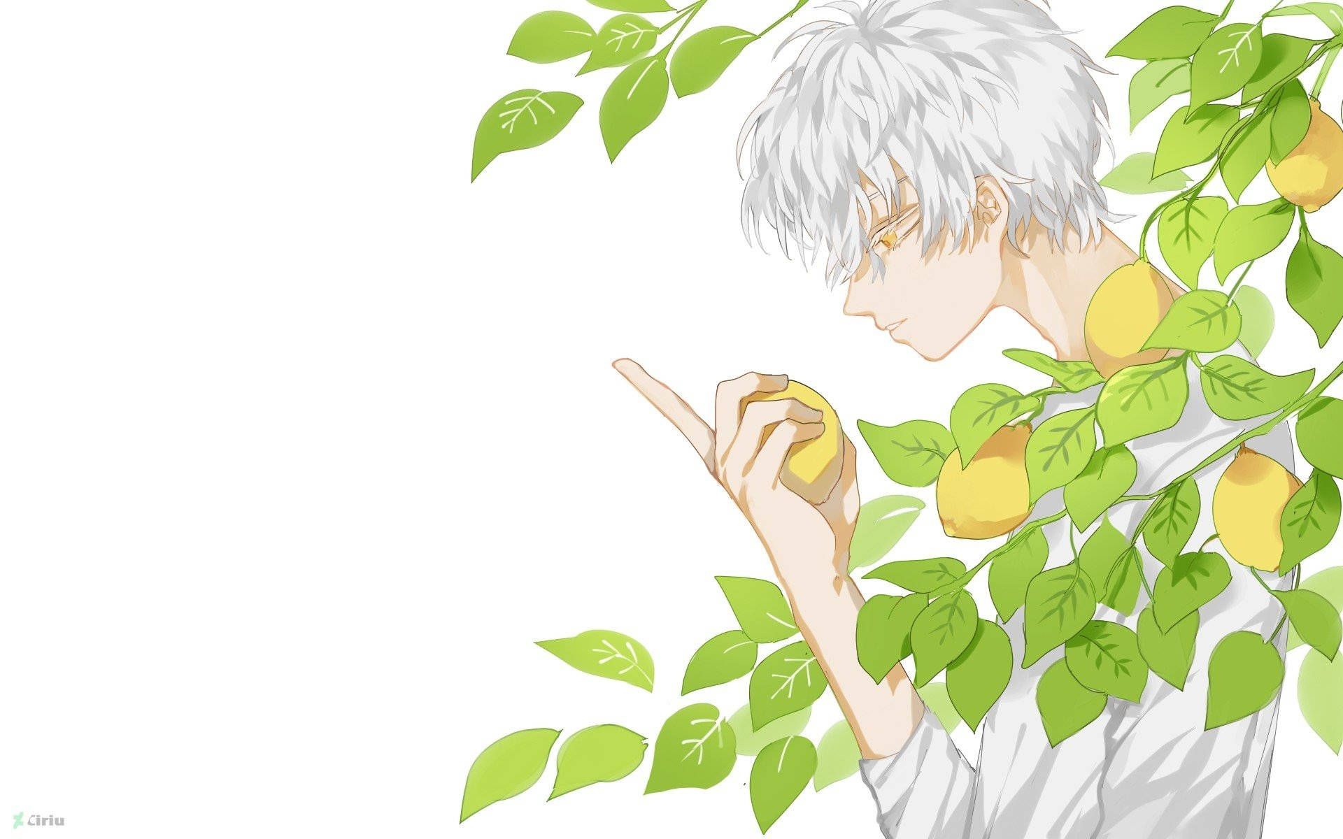 Lemon Anime Art Wallpaper