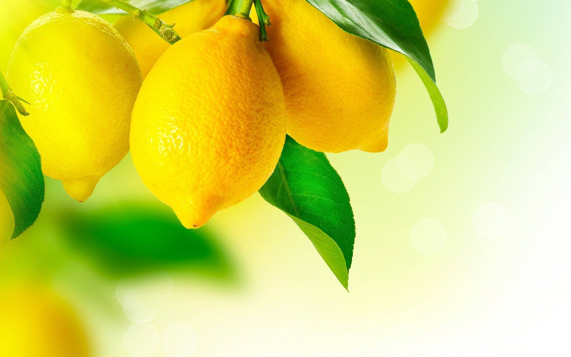 Lemon Fruit Aesthetic Wallpaper