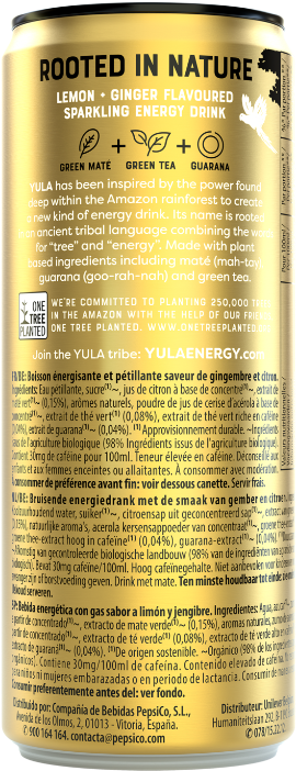 Lemon Ginger Flavored Energy Drink Can PNG