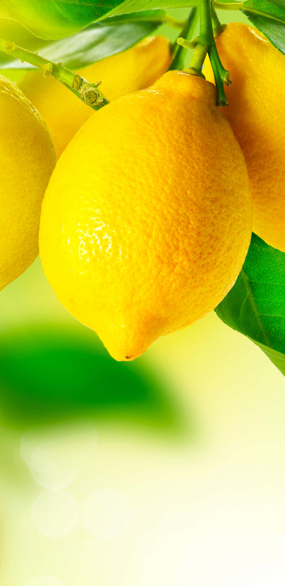 "The Lemon Iphone: Doing More with Less" Wallpaper