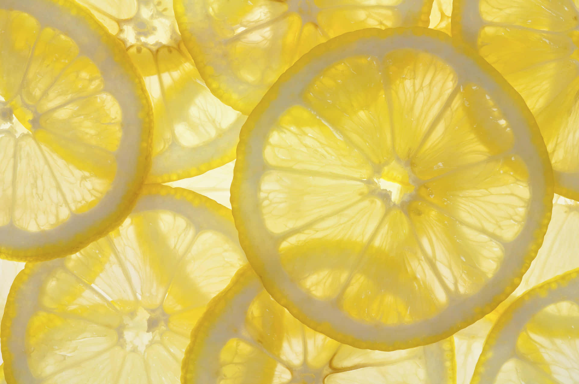 Enjoy the Fresh Taste of Lemons