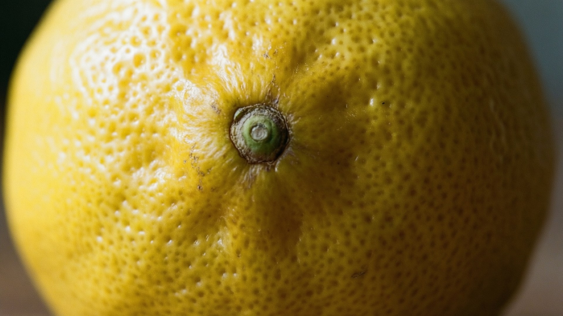 Lemon Texture Macro Wallpapers