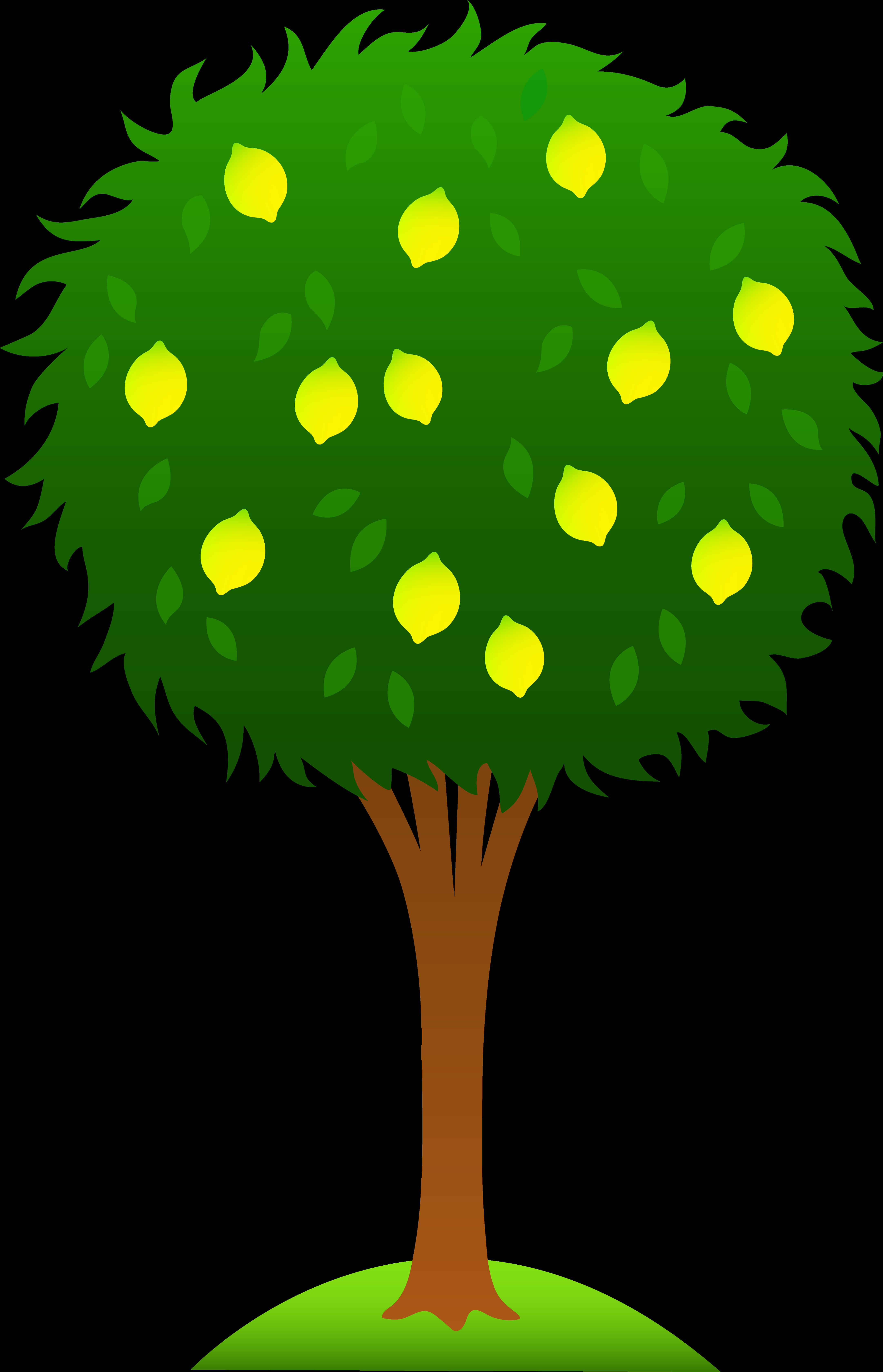 Lemon Tree Illustration PNG