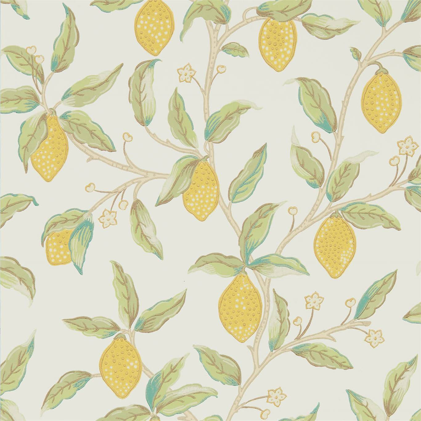 Diekraft Der Natur - Ein Blatt Eines Zitronenbaums Wallpaper