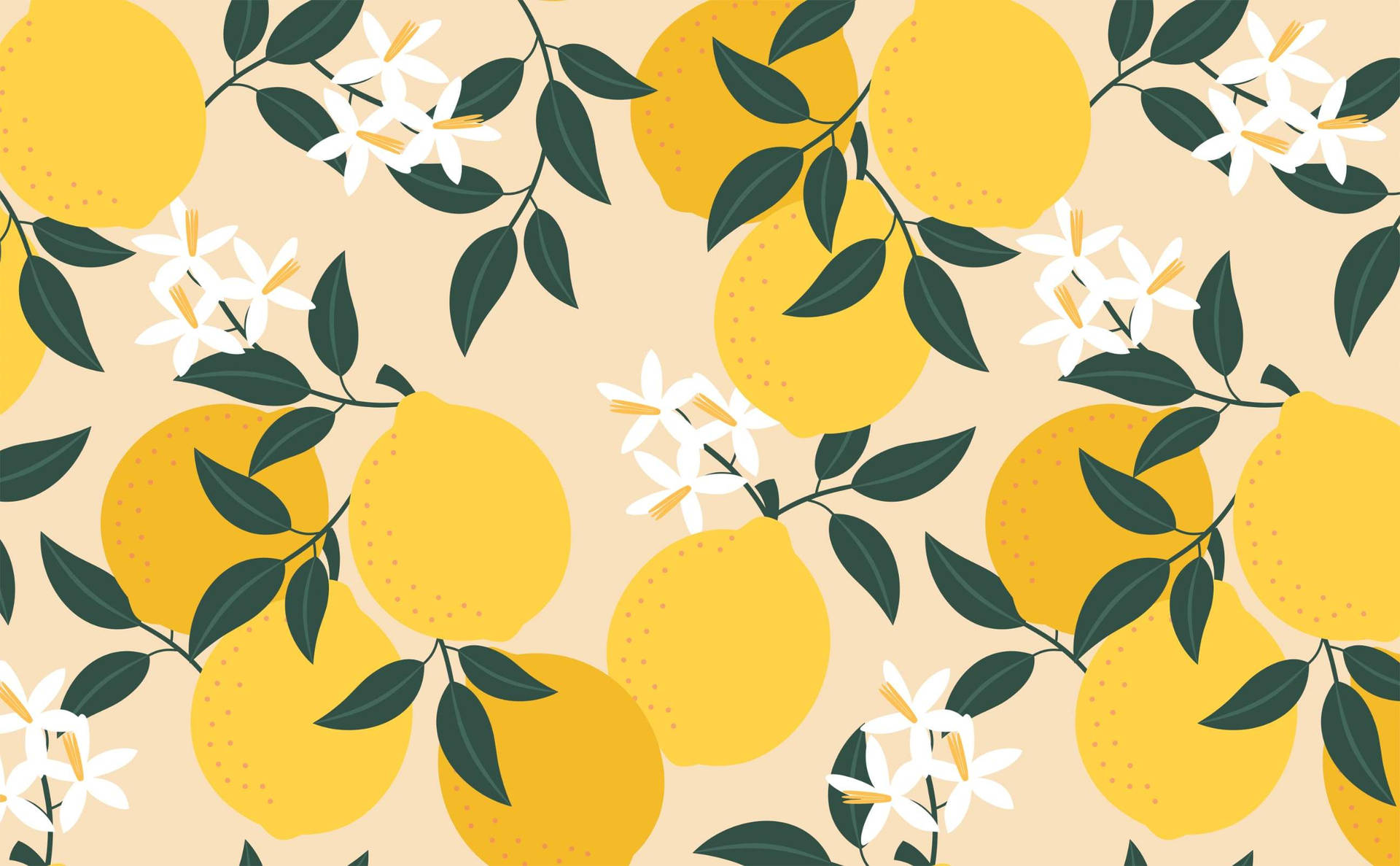 Caption: Vibrant Lemon Fruit Amidst Blooming White Flowers Wallpaper