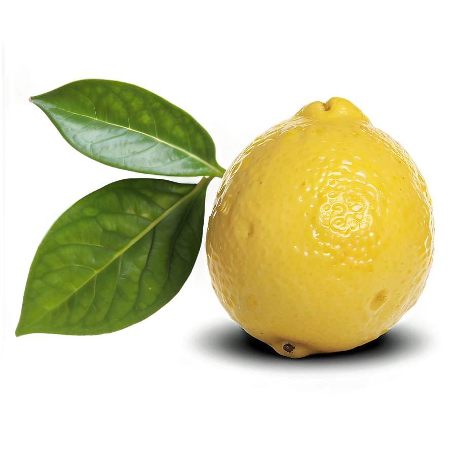 Lemon With Shadow Png 79 PNG