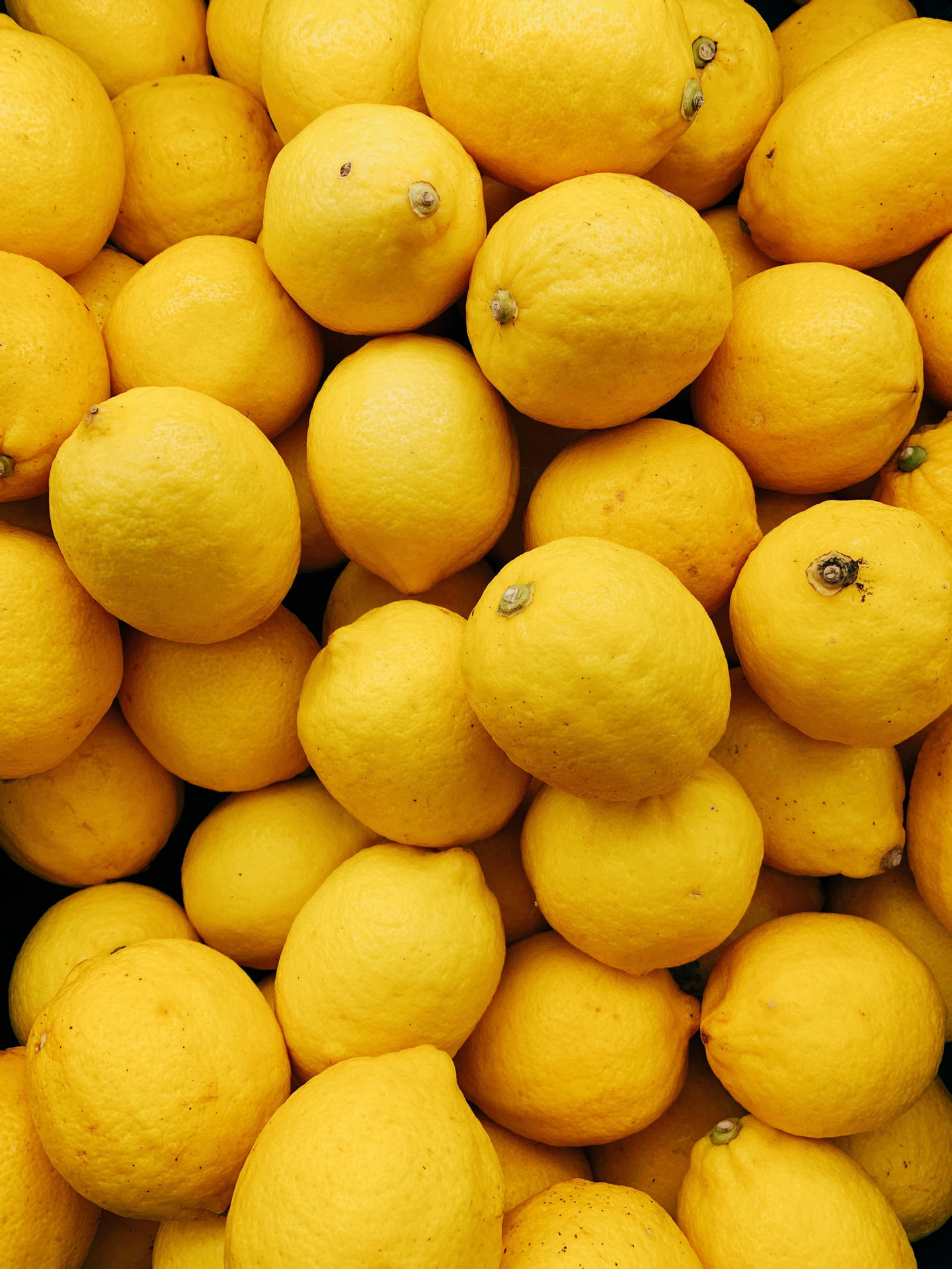 Lemons Plain Yellow Iphone Wallpaper