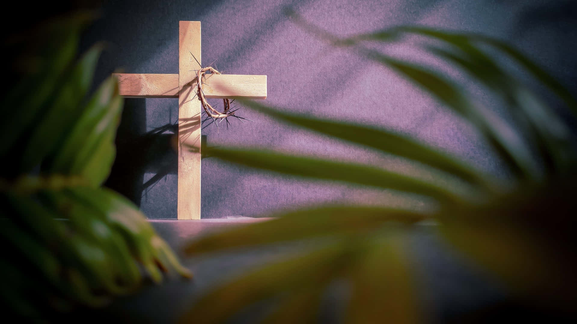 A Wooden Cross In Front Of A Palm Tree