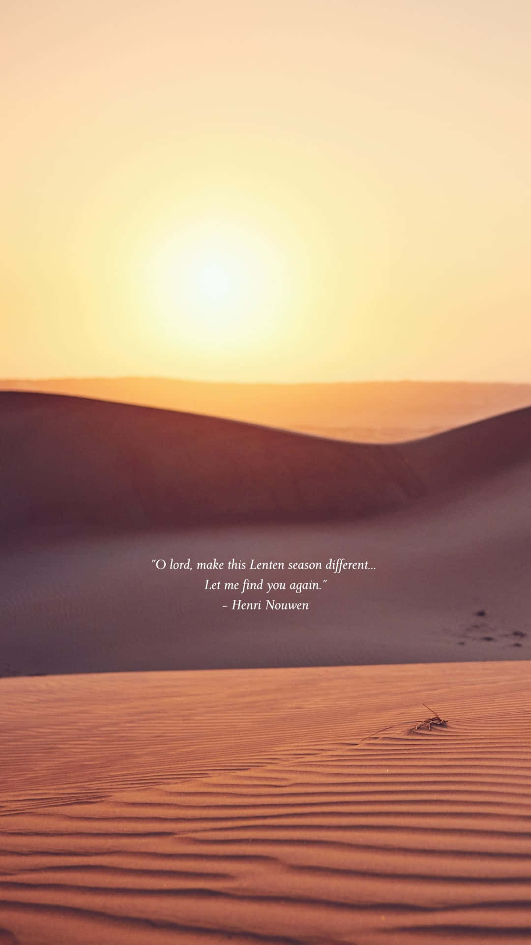 Lenten Reflection Desert Sunrise Wallpaper