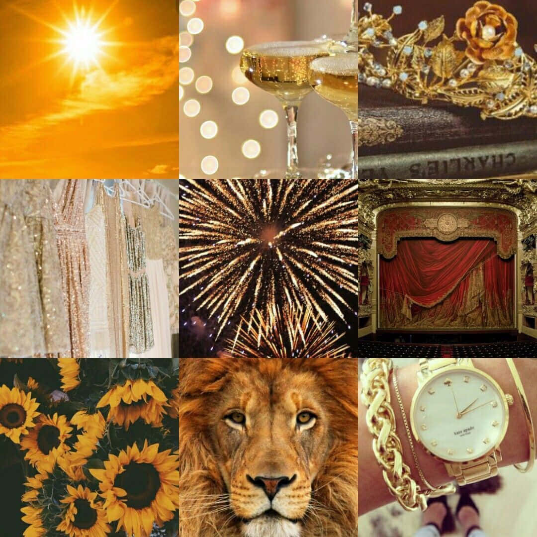 En collage af fotos med en løve, solsikker, og en ur Wallpaper