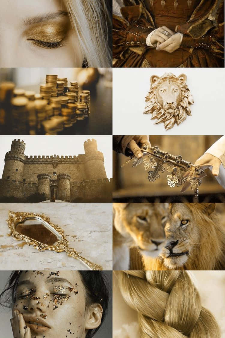 Unleash your inner lion with Leo Aesthetic! Wallpaper