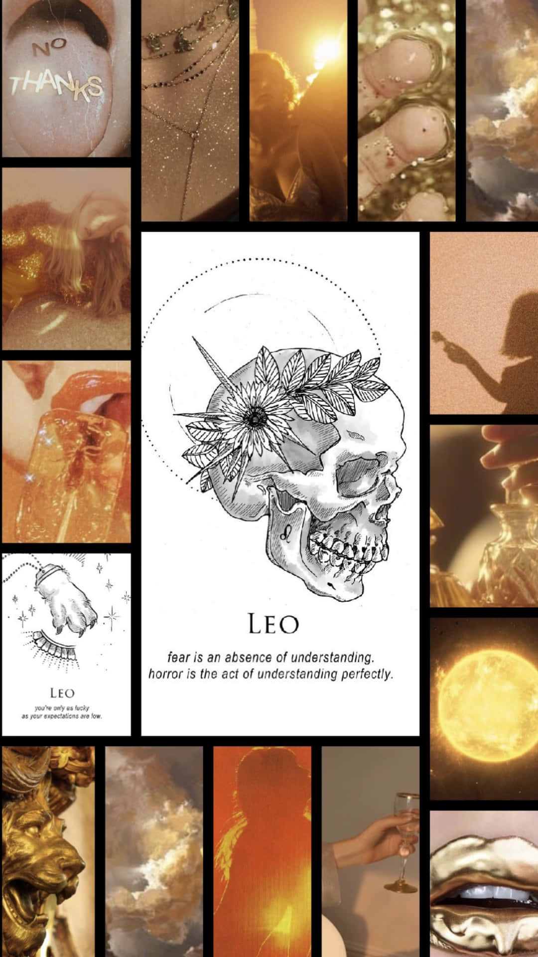 Einecollage Von Bildern Mit Dem Wort Leo Wallpaper