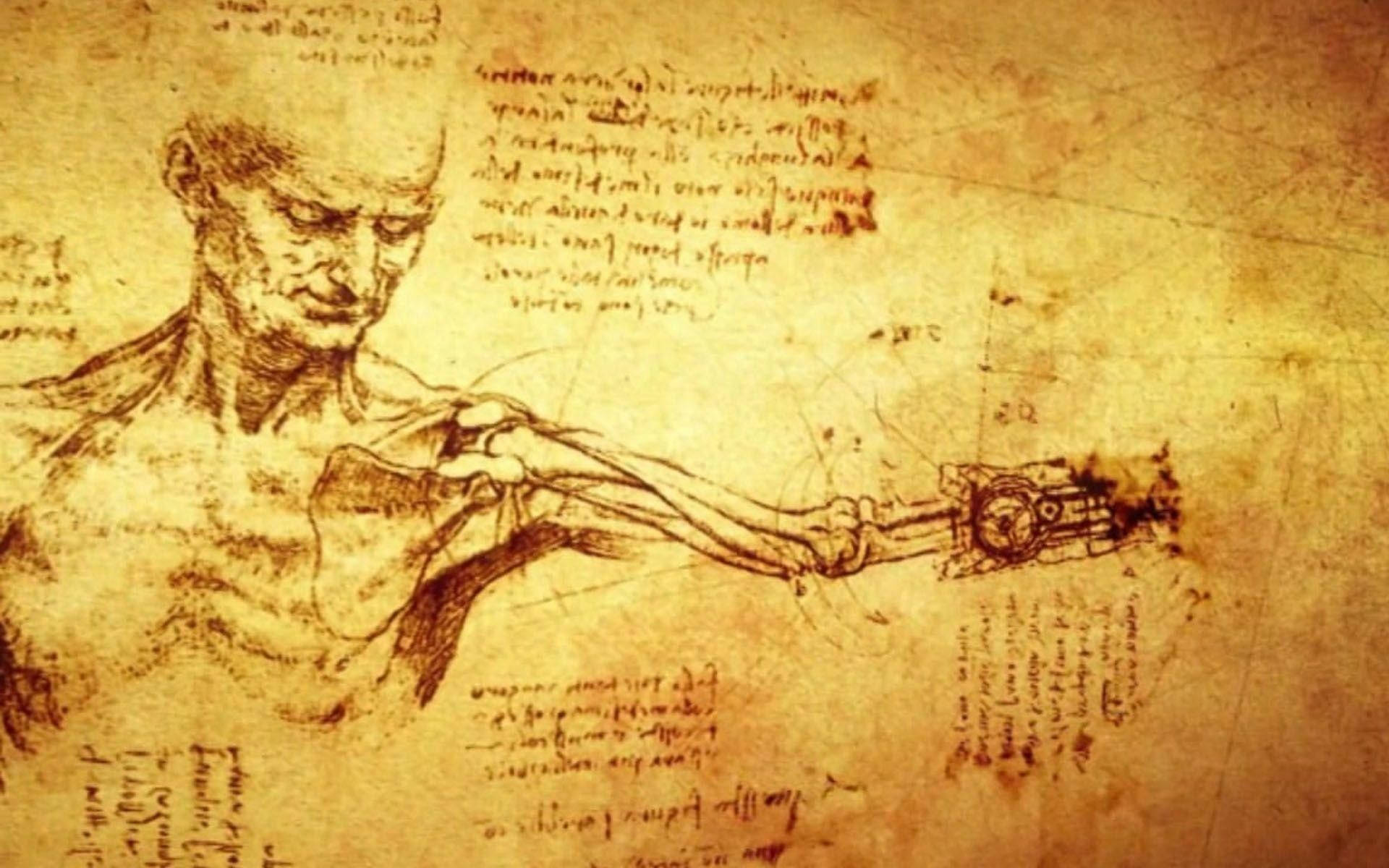 Download Leonardo Da Vinci Anatomical Drawings Wallpaper 