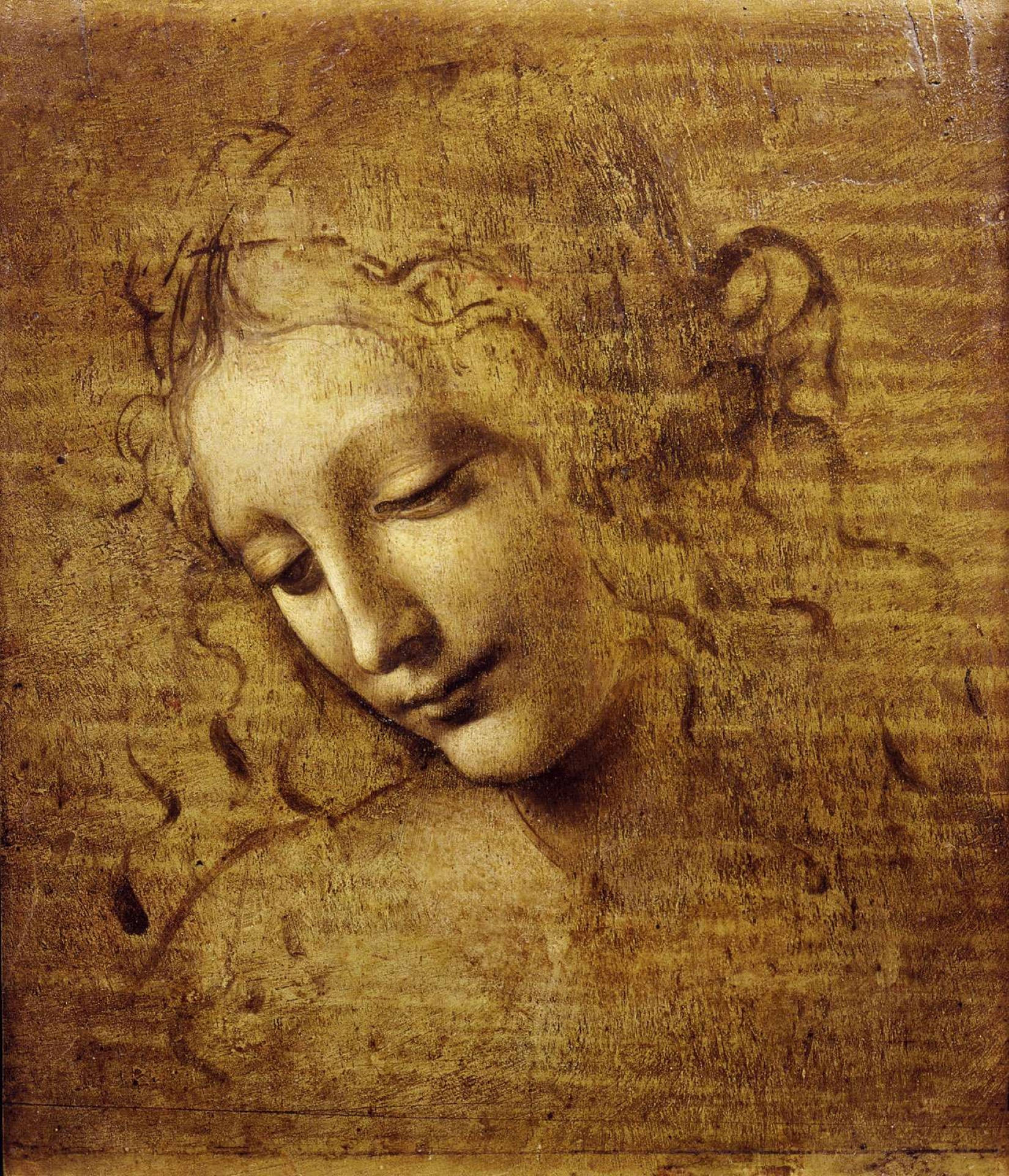 Leonardo Da Vinci Female Head Painting Wallpaper