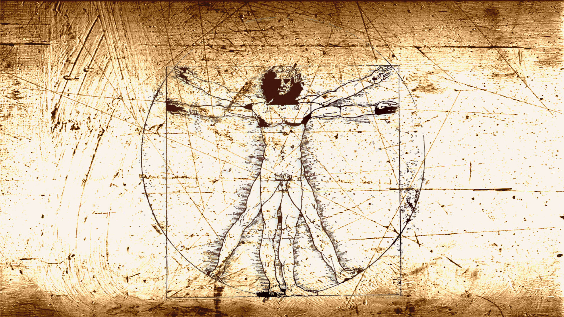 Leonardo Da Vinci Vitruvian Man Wallpaper