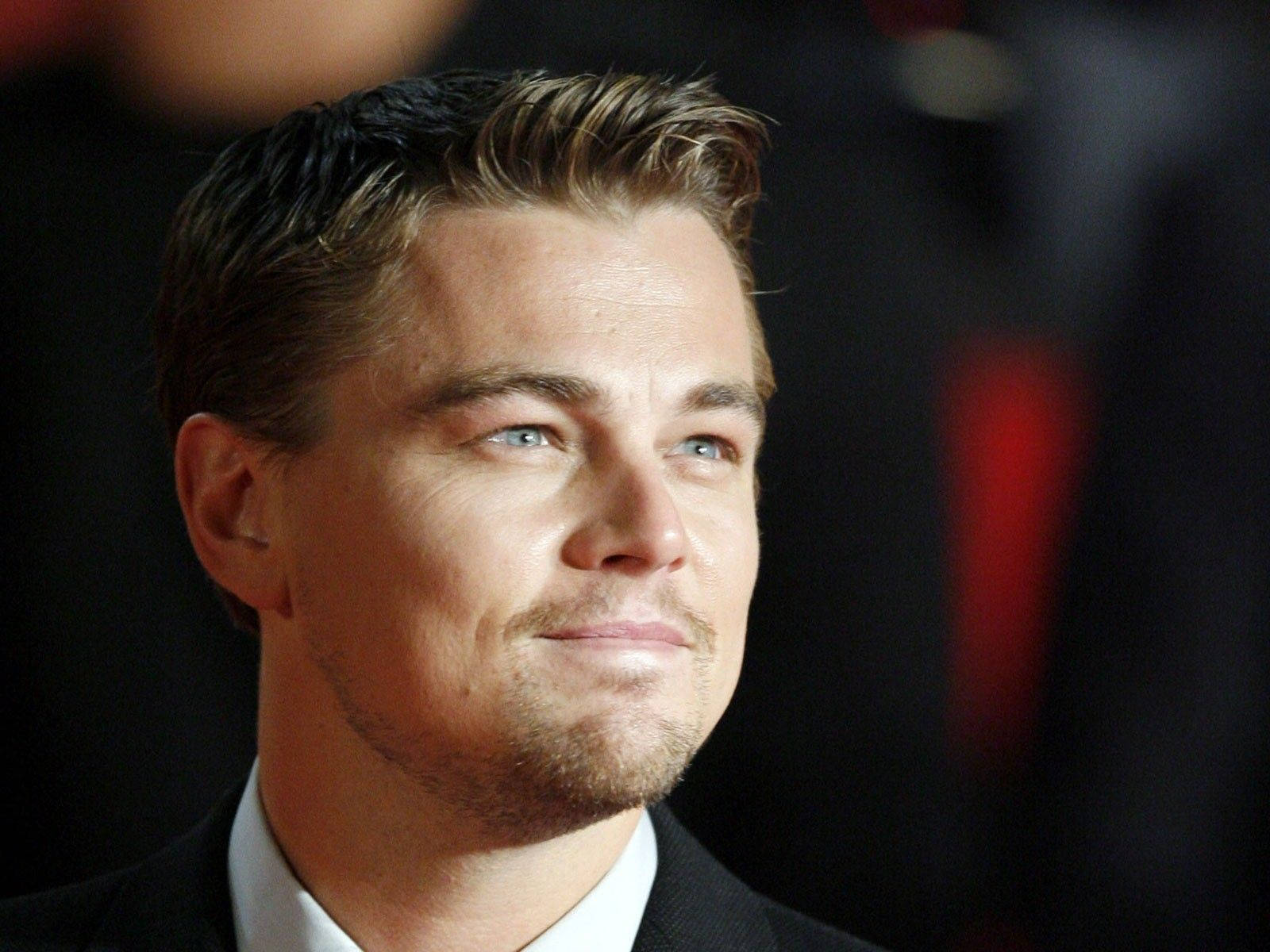 Leonardo DiCaprio Bright Blue Eyes Wallpaper