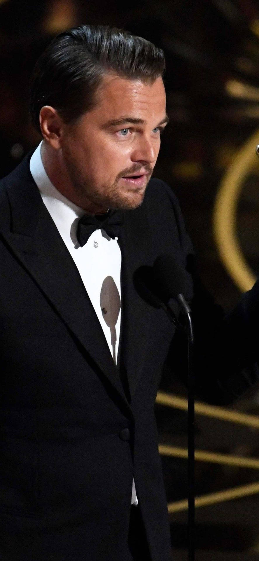 Leonardo DiCaprio Oscar Speech Wallpaper