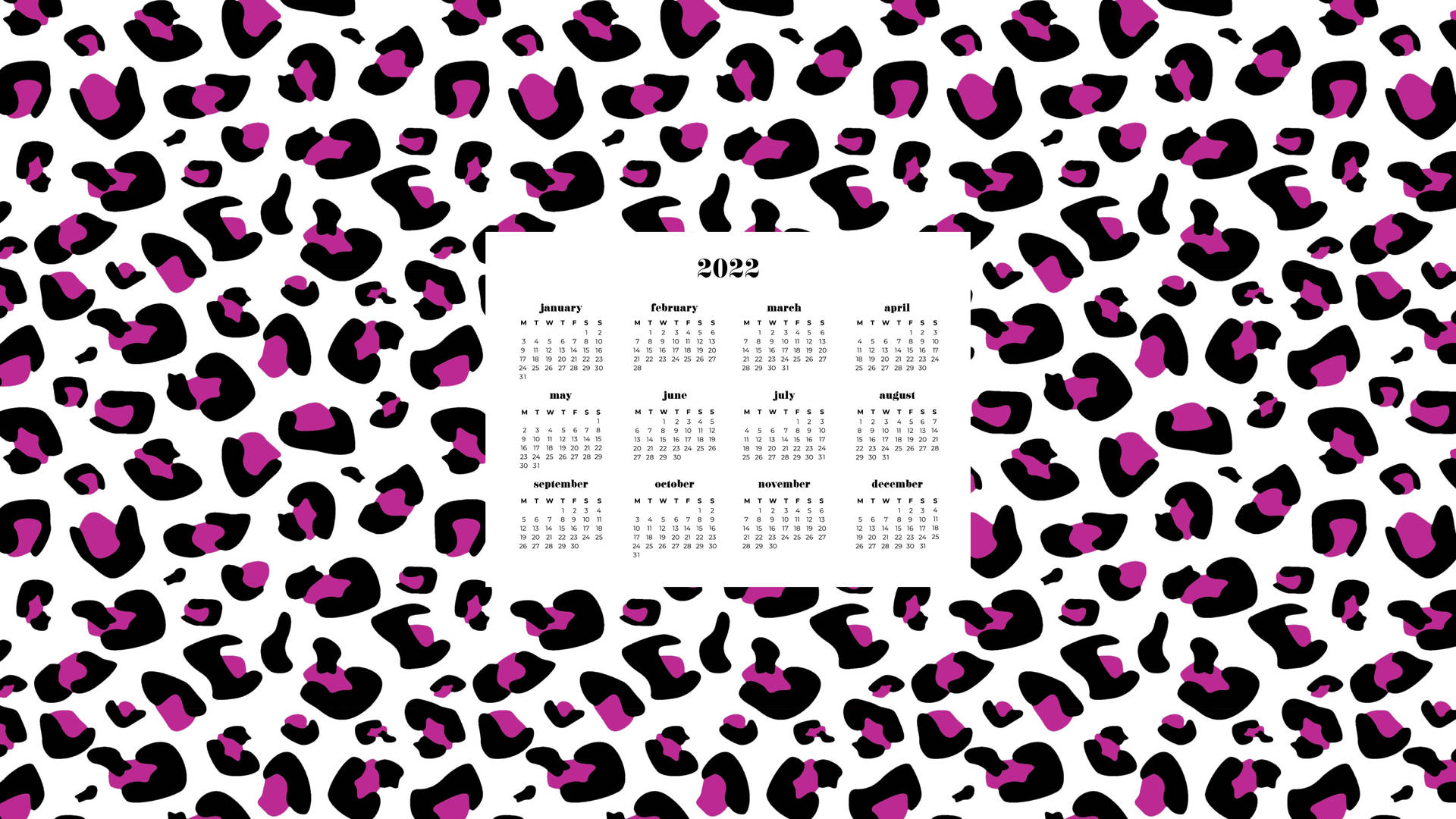 Leopard 2022 Calendar Picture
