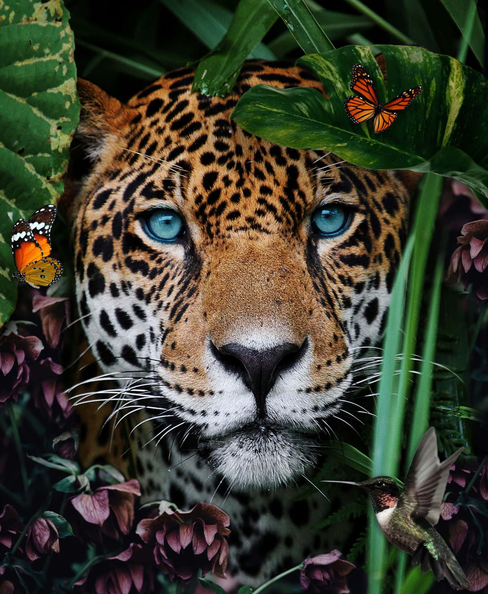 Enafrikansk Leopard I Sit Naturlige Habitat.